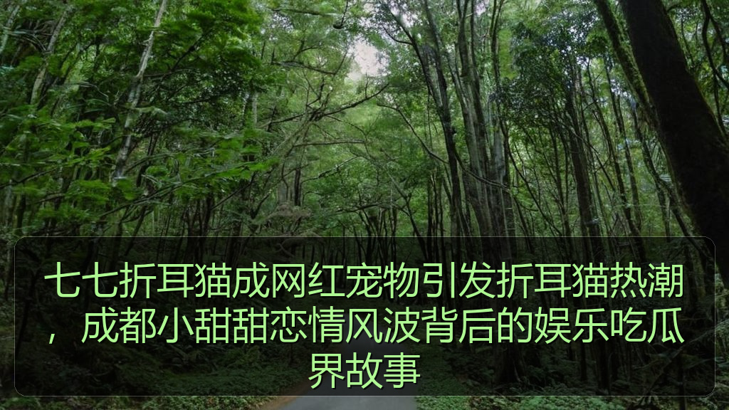 七七折耳猫成网红宠物引发折耳猫热潮,成都小甜甜恋情风波背后的娱乐吃瓜界故事